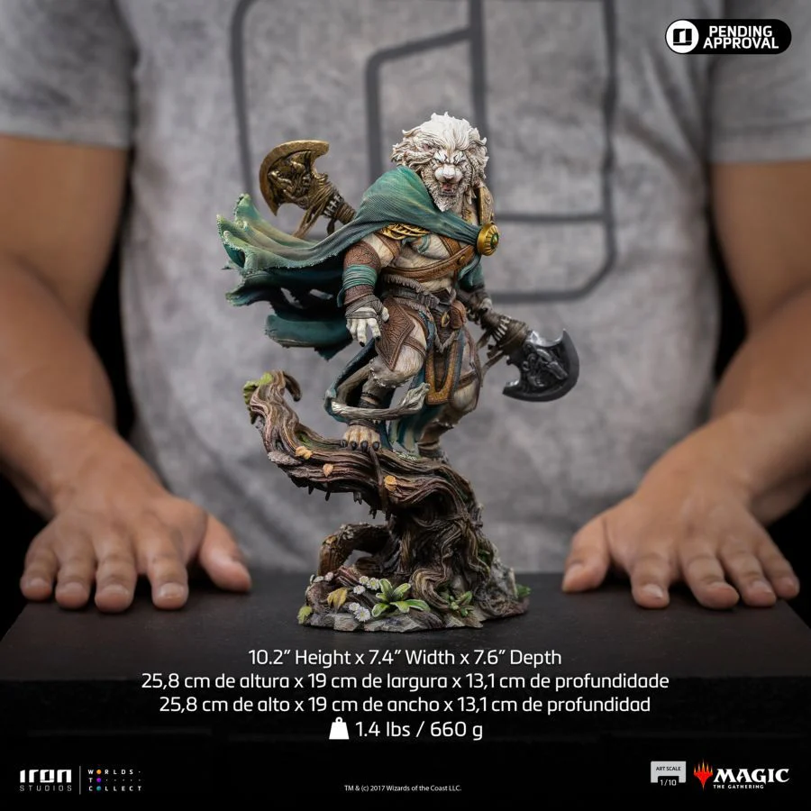 Product image 13